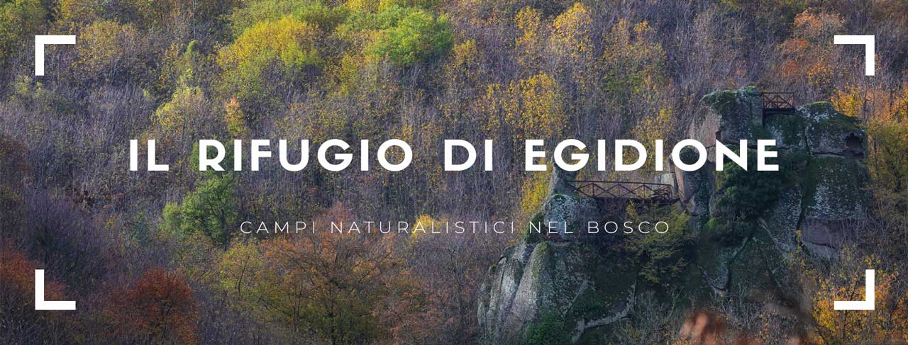 Campi Naturalistici della Tenuta Sant'Egidio